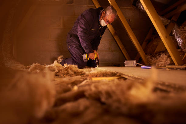 Best Cellulose Insulation in Andover, KS